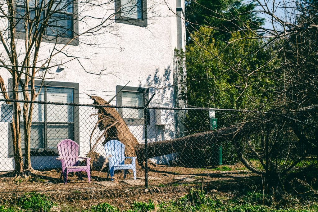 Tree blown down across a backyard after a storm