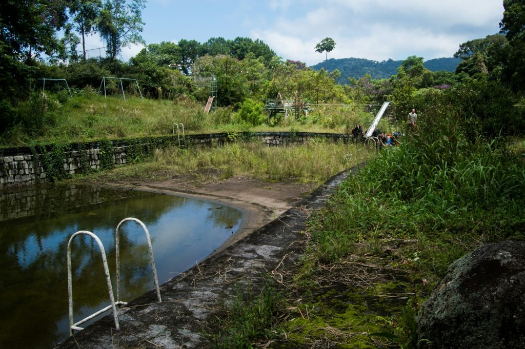 Neglected, overgrown pool with stagnant water