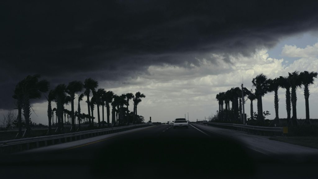 Storm approaching a palm-lined road